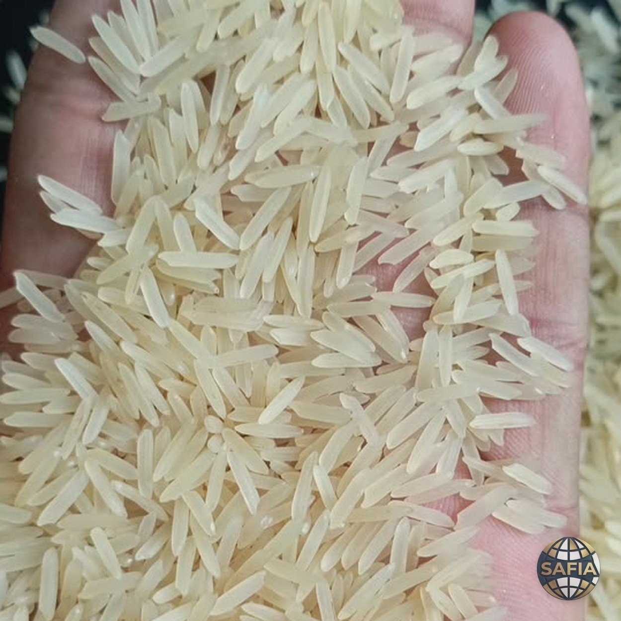 SAFIA Pusa Sella basmati — parboiled grain from a shipment sample