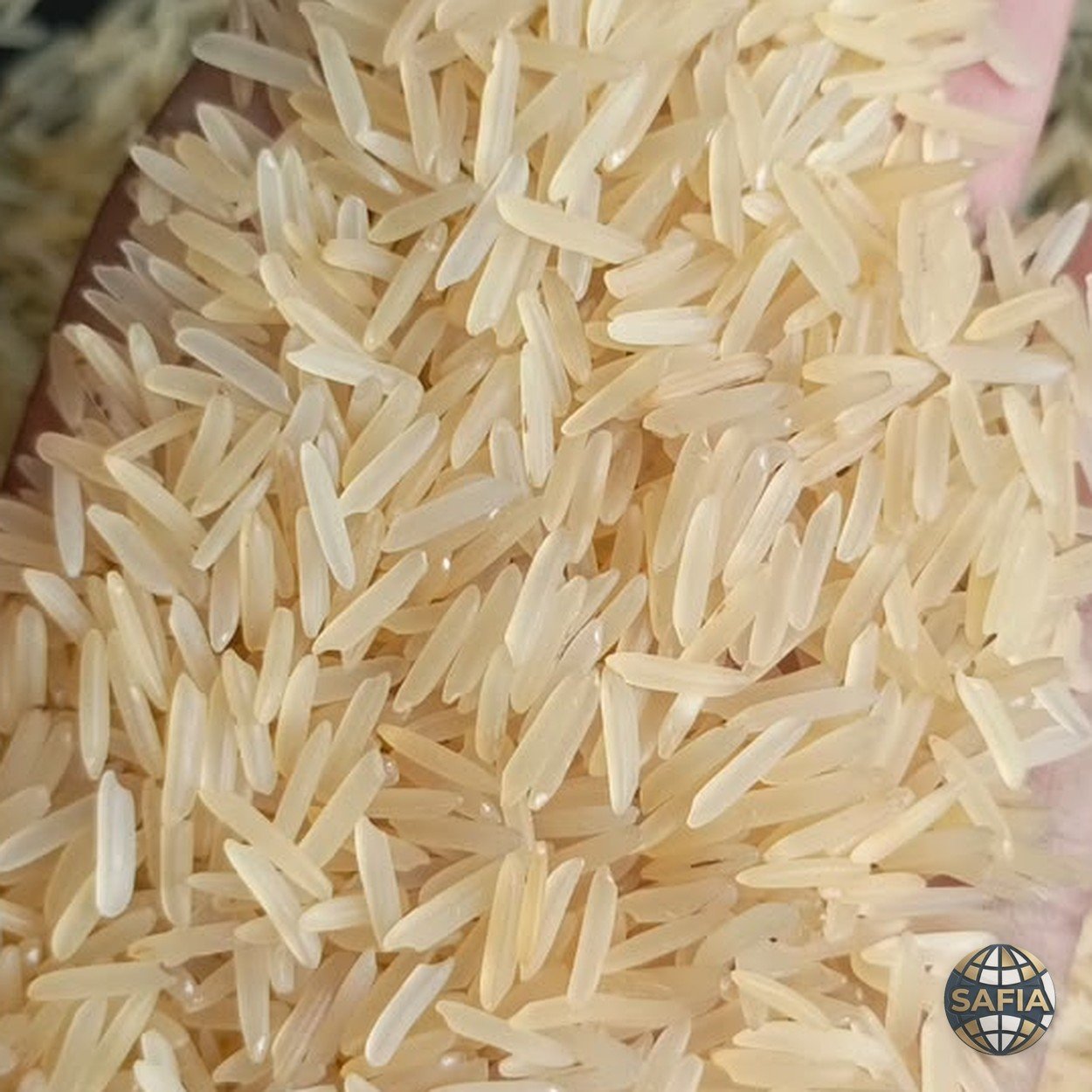 Golden Sella basmati — amber translucent parboiled grain, SAFIA shipment sample
