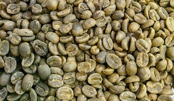Green arabica coffee beans