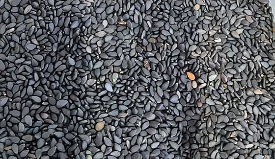 Black sesame seeds