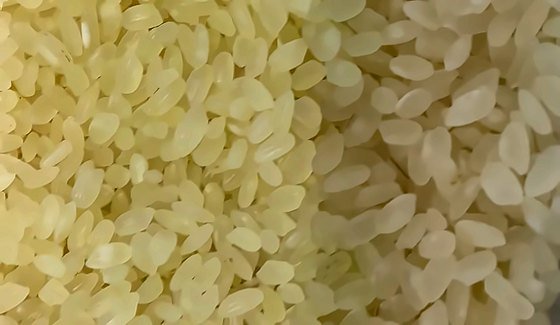 Camalino rice — short, plump, round grain