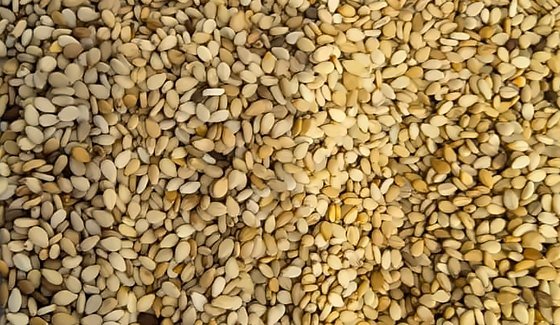 Natural sesame seeds