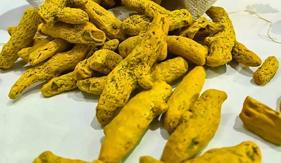 Turmeric (haldi) — whole dried roots