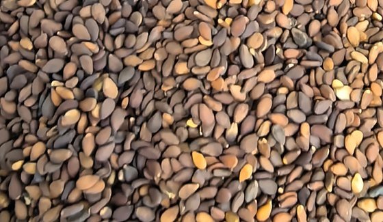 Dried watermelon seeds