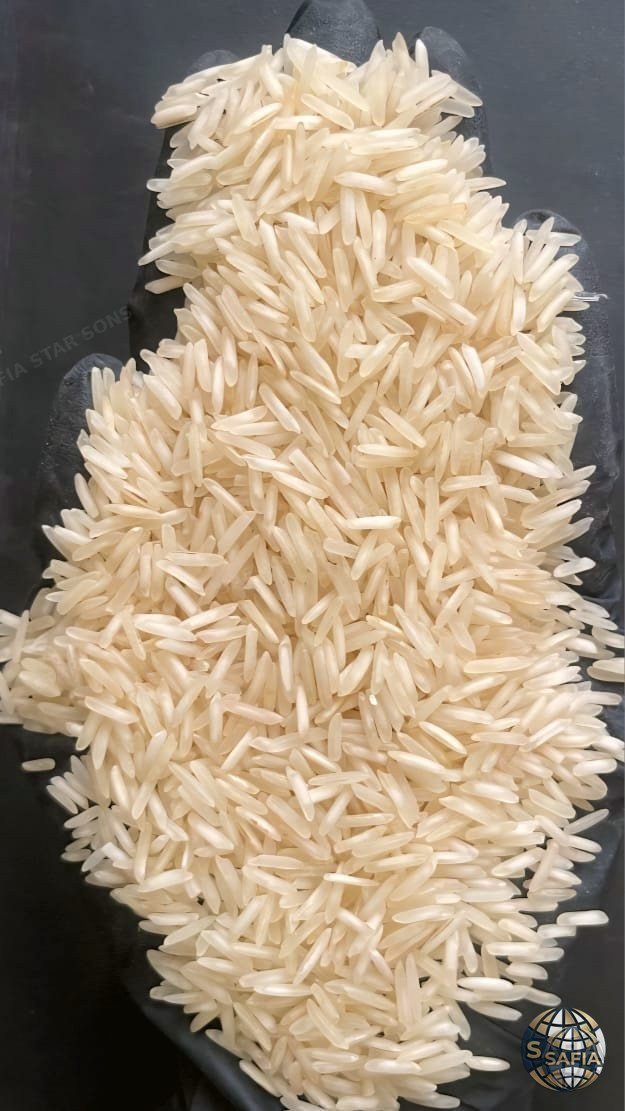 1509 Basmati Rice — SAFIA premium rice grains